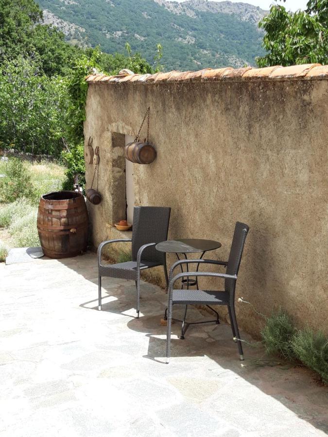 Casa Franceschi Bed & Breakfast Pioggiola Екстериор снимка